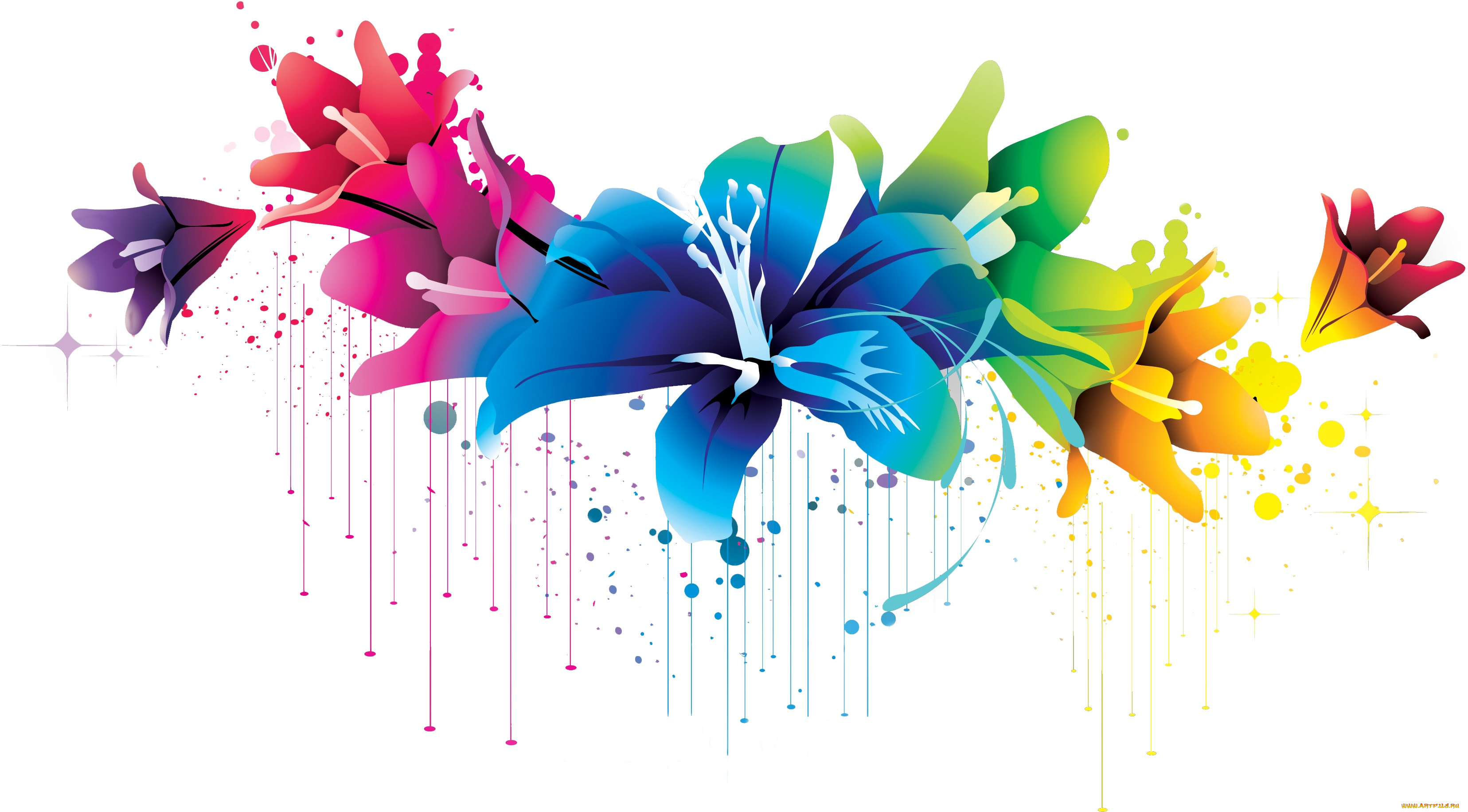  ,  , flowers, , 